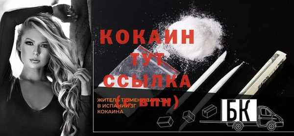 индика Беслан