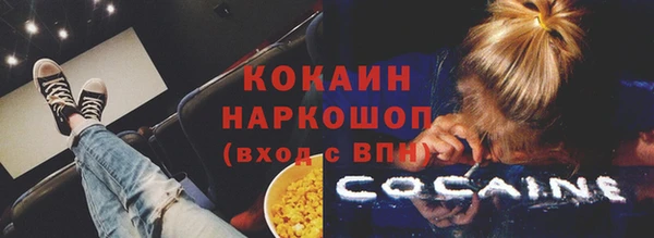 apvp Белая Холуница