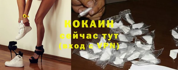 apvp Белая Холуница