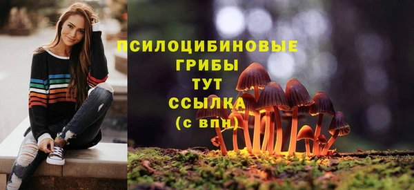 apvp Белая Холуница