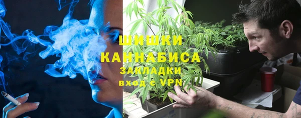 apvp Белая Холуница